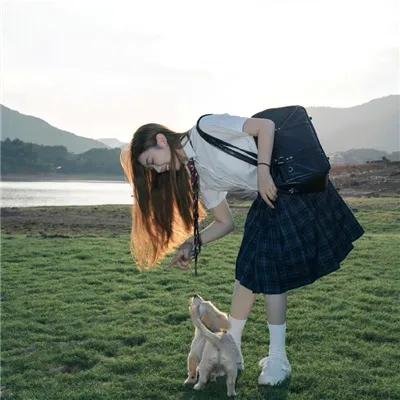 新忠烈图